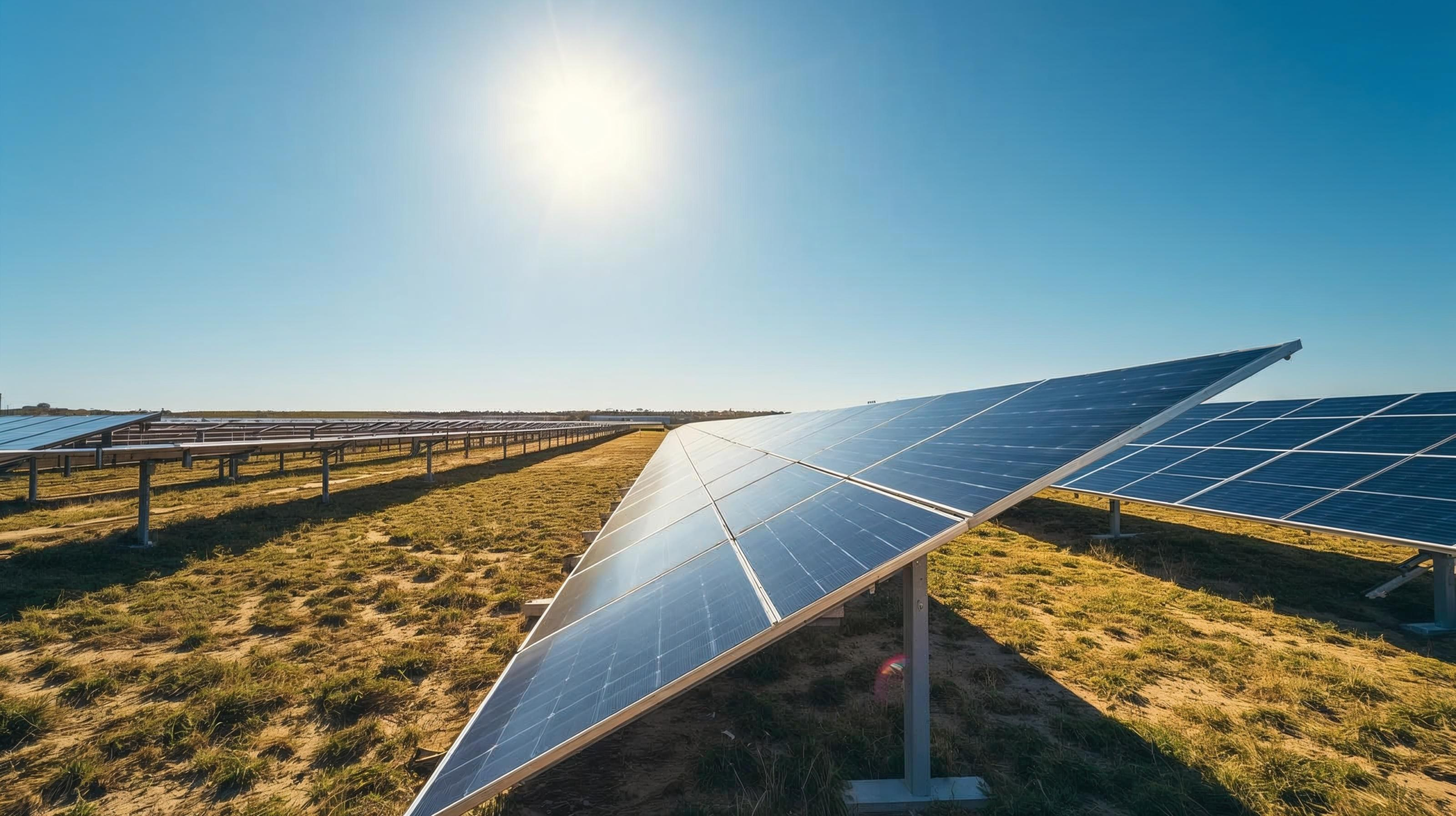 a clean, bright image of solar panels in a field